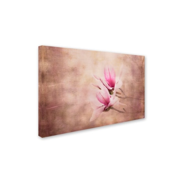 Jai Johnson 'Pink Magnolia 3' Canvas Art,22x32